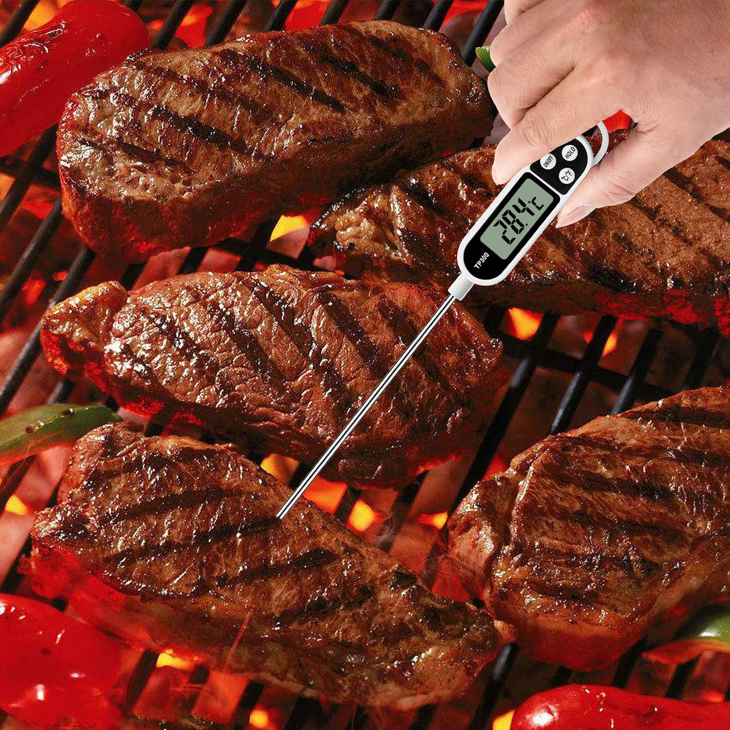 Digital Meat Food Thermometer  - Thermometer Candy Candle ulasan dan harga